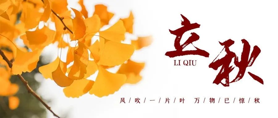 微信图片_20250724085431.jpg